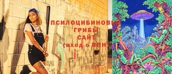не бодяженный Гусев