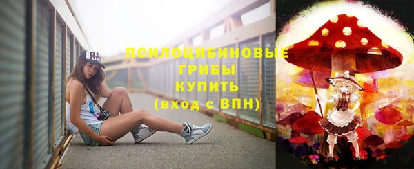 spice Гусь-Хрустальный